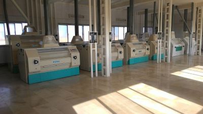 فروش کارخانه آرد در شمال5