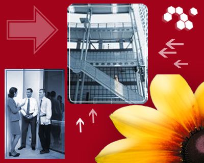 مشاور صنايع غذائي و خدمات فني مهندسي6