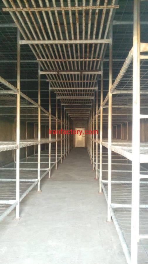 کارخانه تازه تاسیس پرورش قارچ واقع در کرمانشاه شهرستان صحنه0