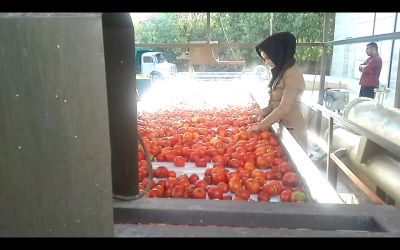 فروش کارخانه رب گوجه و کنسرو در کرمانشاه - فروش کارخانه کنسرو در کرمانشاه 1