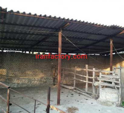 فروش 400 متر دامداری در کردکوی1