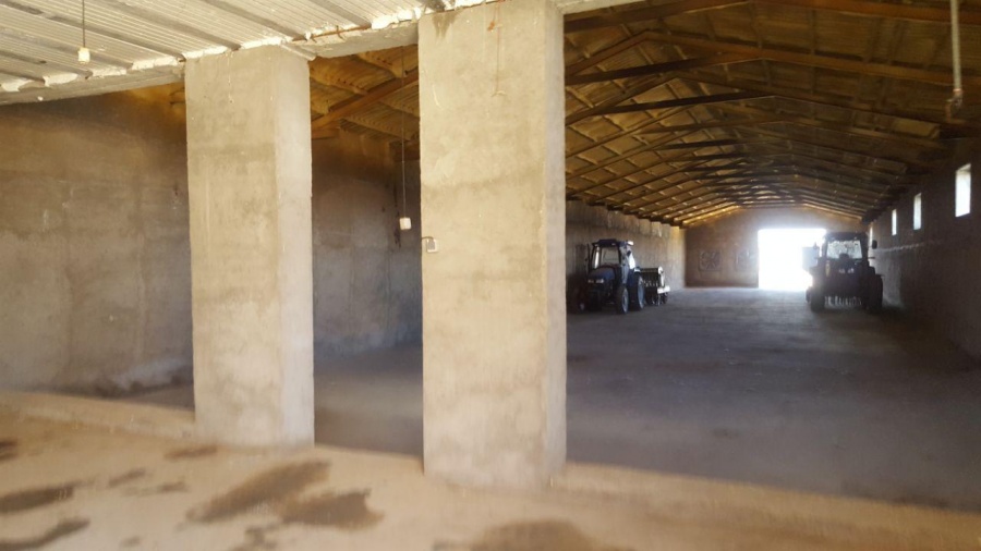 فروش گاوداری و یا جای مناسب برای کارخانه در مراغه1