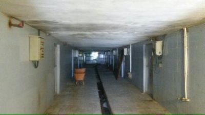 فروش ویژه ی کارخانه ی قارچ-فروش کارخانه قارچ در ملارد شهریار3