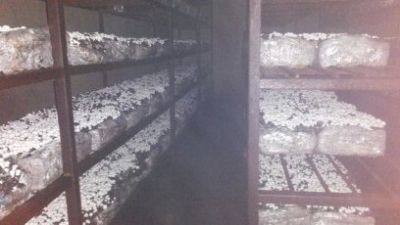 فروش ویژه ی کارخانه ی قارچ-فروش کارخانه قارچ در ملارد شهریار8