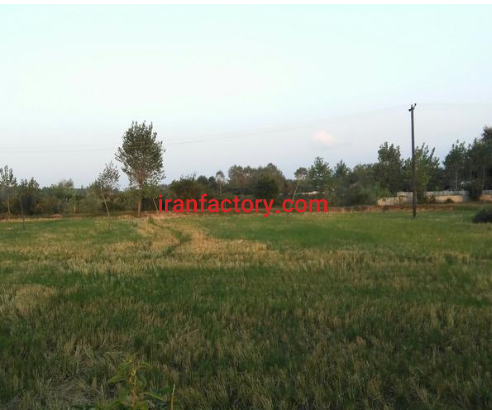 فروش 23450 متر استخر پرورش ماهی و زمین کشاورزی در رشت2