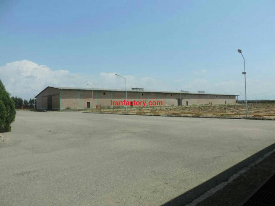 کارخانه ریسندگی مازندران2