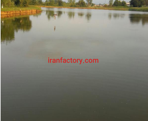 فروش 7هکتار پرورش ماهی در رشت5