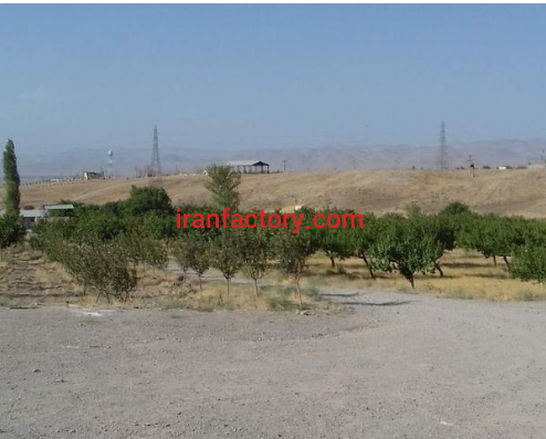 دامداری 40 هکتار در زنجان8
