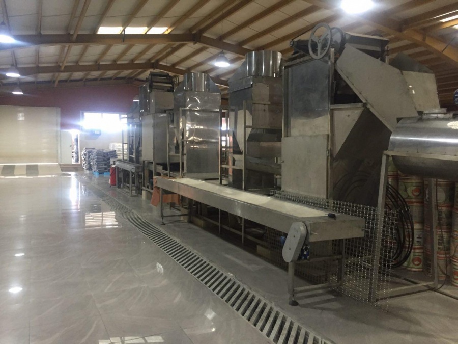 فروش کارخانه بسته بندی کشمش و میوه جات خشک5