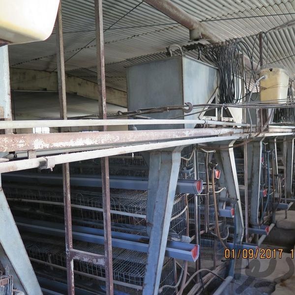 فروش 20800متر مرغداری تخم گذار با مجوز جوجه ریزی 36000 قطعه در کرج1