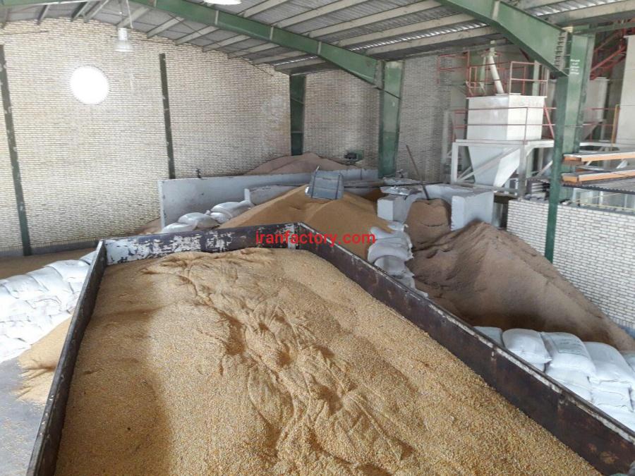 فروش پودر ماهی ، خرید پودر ماهی2