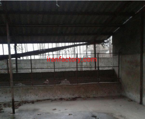 فروش 1000دامداری در رشت5