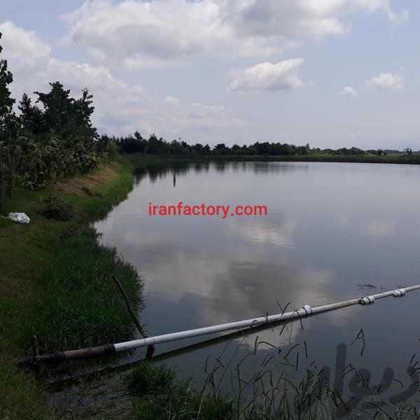 فروش استخر پرورش ماهی گرم ابی در رشت0