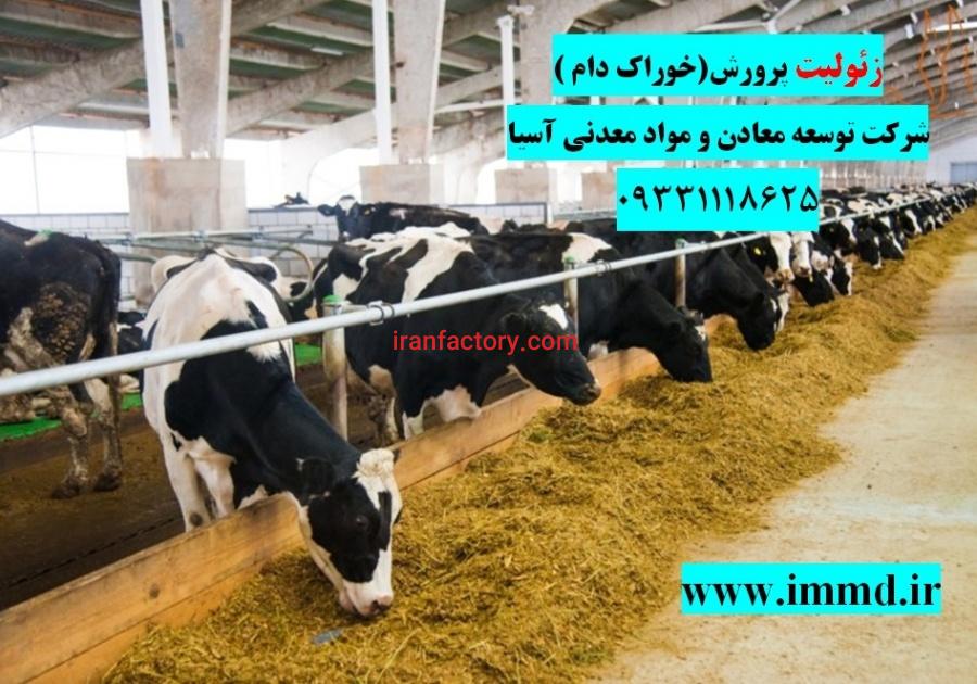 شرکت توسعه معادن ومواد معدنی آسیا0
