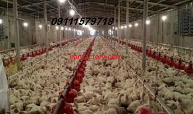 فروش مرغداری ساری0
