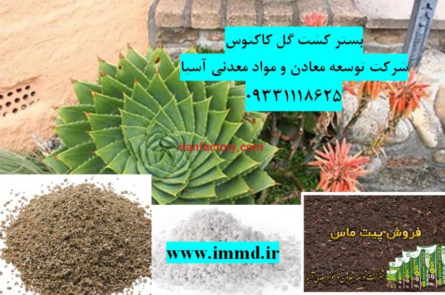 فروش بسترهای کشت گل کاکتوس0