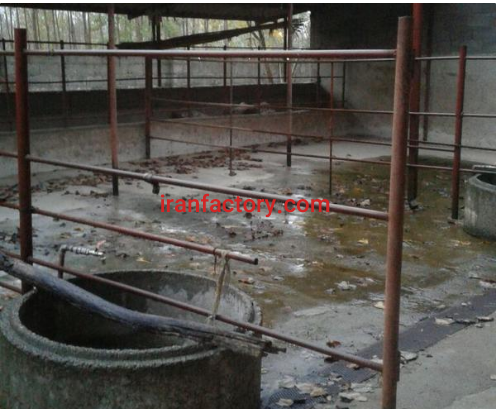 فروش 1000دامداری در رشت6