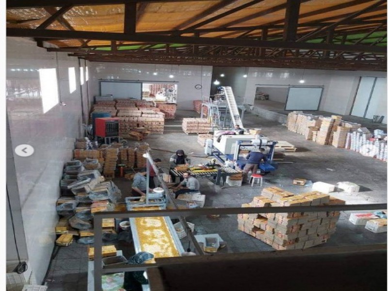 فروش کارخانه سورتینگ کشمش و خشک کن میوه1