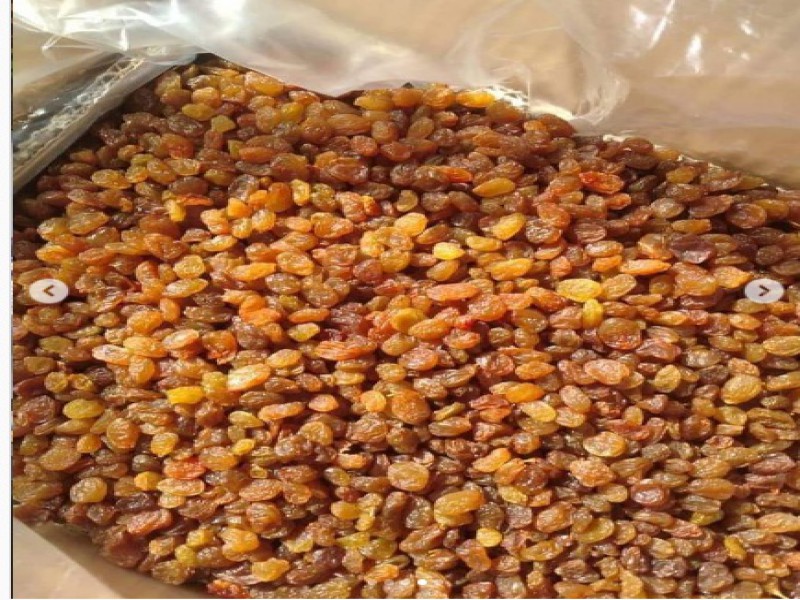 فروش کارخانه سورتینگ کشمش و خشک کن میوه2