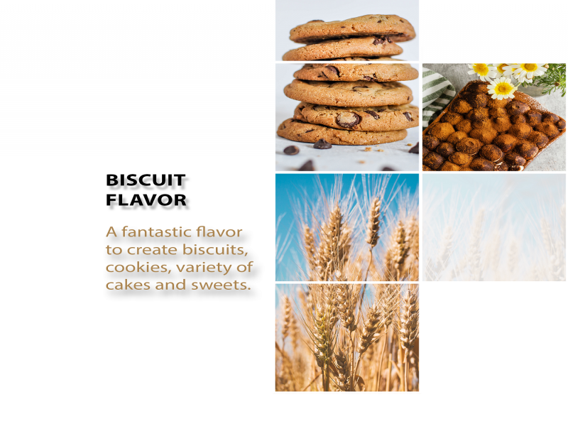 طعم بیسکوئیت0