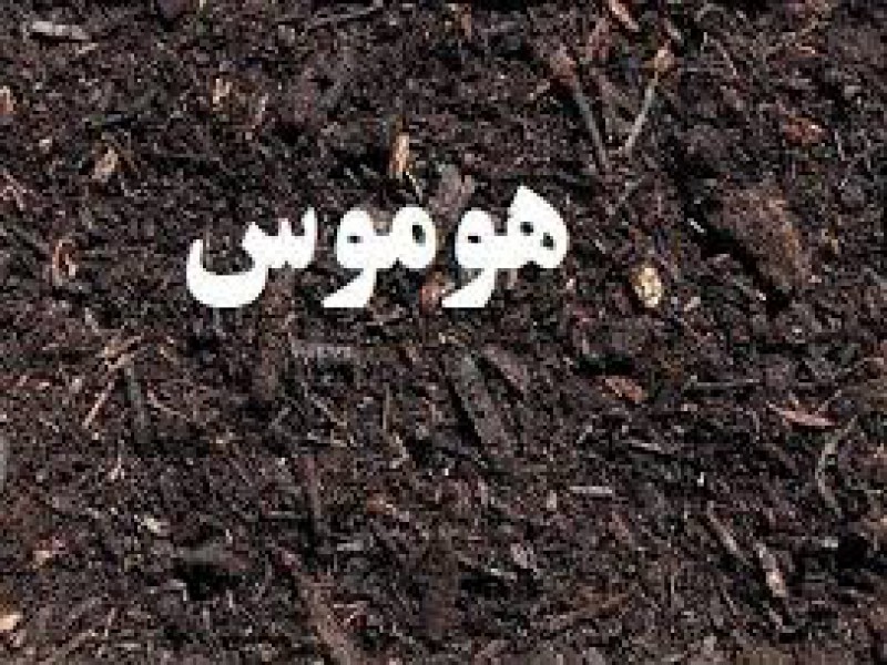 کود هوموس اصل و مرغوب0