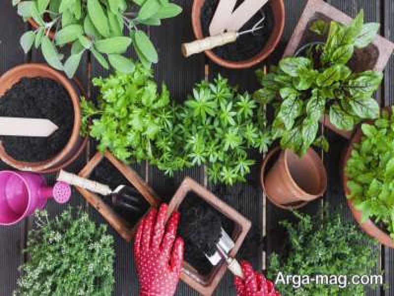 خرید و فروش خاک گلدان0