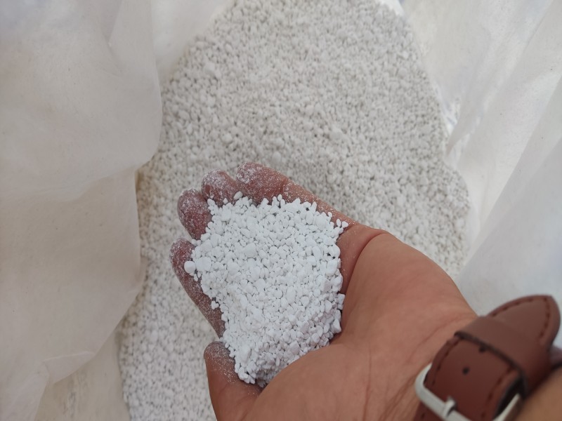 تولید کننده خاک گربه زامیاددر گیلان2