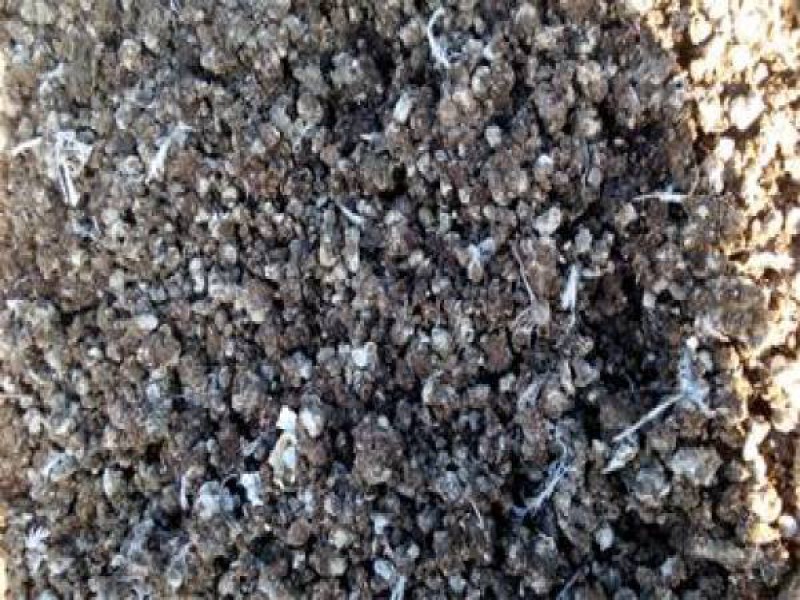 فروش کود کبوتر در شهربابک0