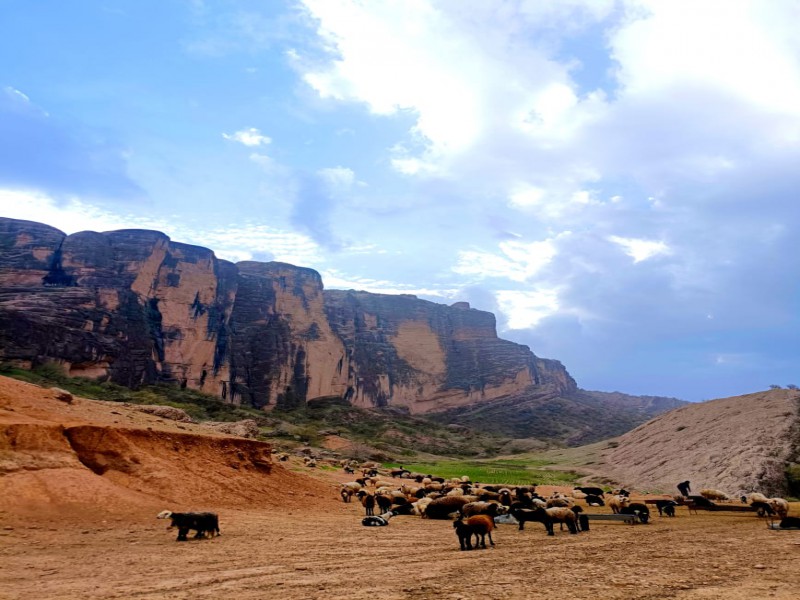 لیدر سفر به  خوزستان2