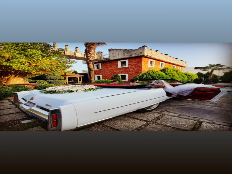 اجاره ماشین کلاسیک در تهران3