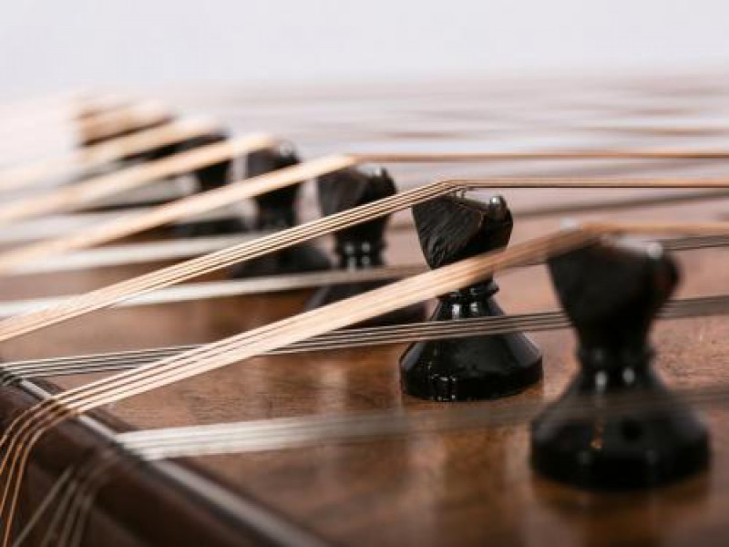 فروش سنتور حرفه ای تهران0