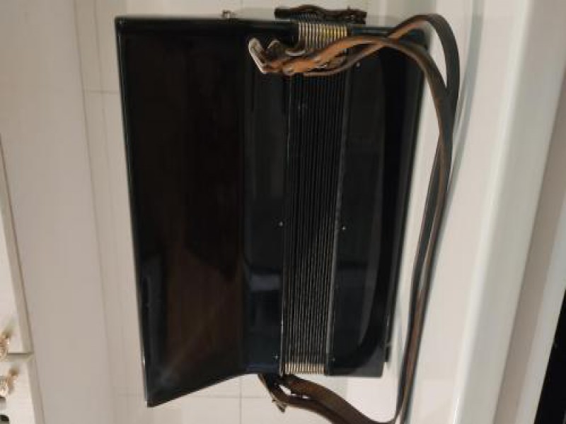 فروش آکاردئون رویال استاندارد گنبد کاووس0