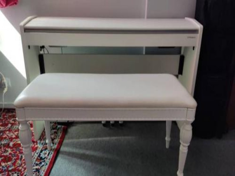 فروش پیانو رولند در تهران0