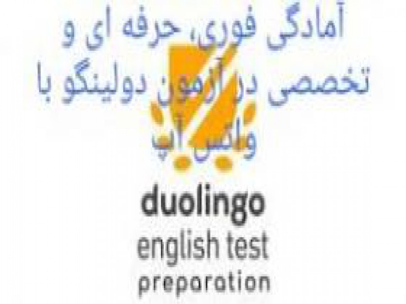 تدریس خصوصی دولینگو در تهران0