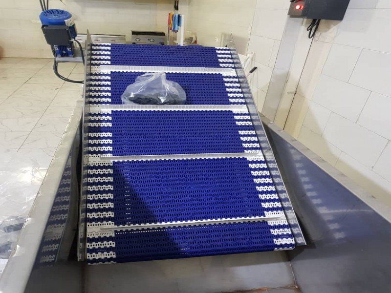 خط شستشوی سبزیجات0