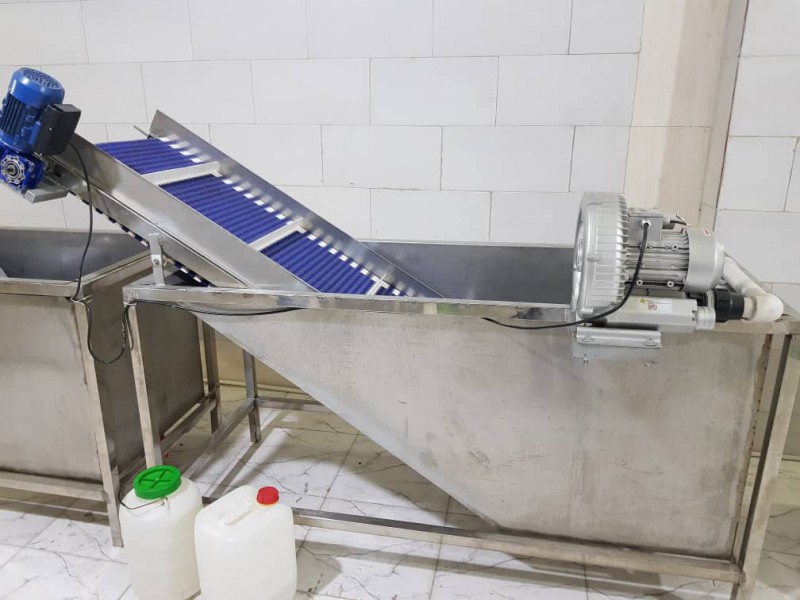 خط شستشوی سبزیجات1