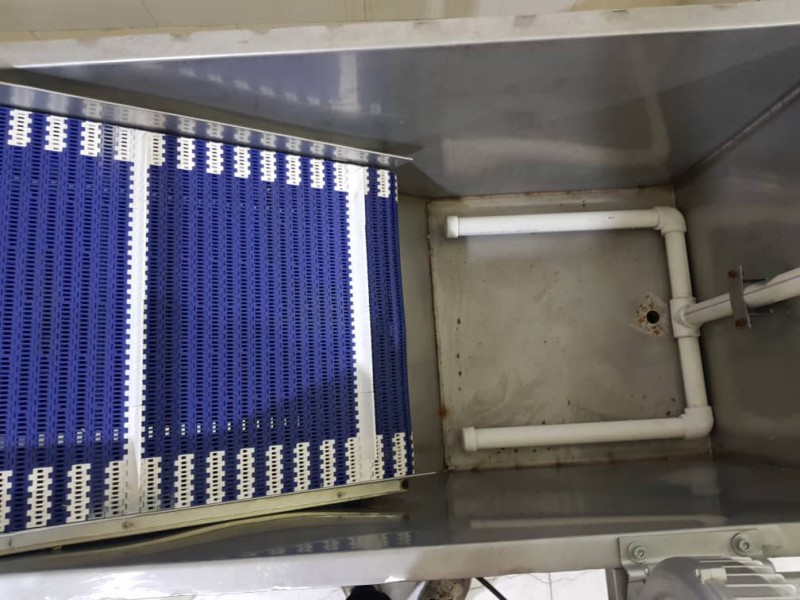 خط شستشوی سبزیجات2