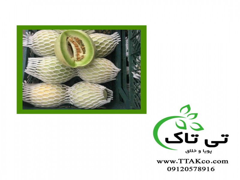 تولید فوم توری میوه0