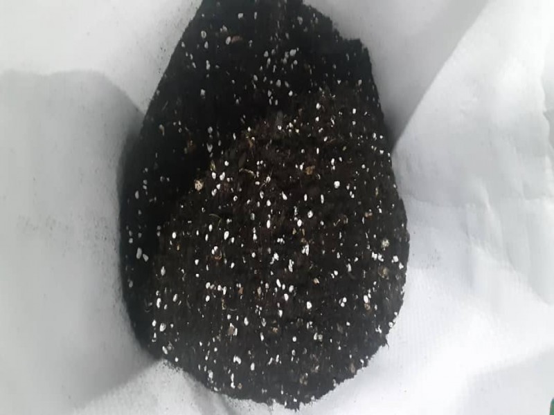 بستر آماده کشت0
