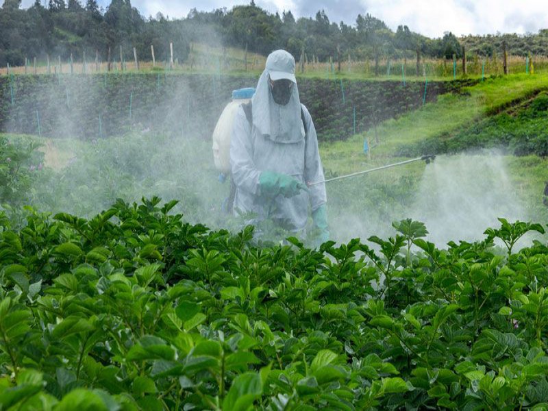 کود مایع تیوسولفات پتاسیم صنایع کود مارال0