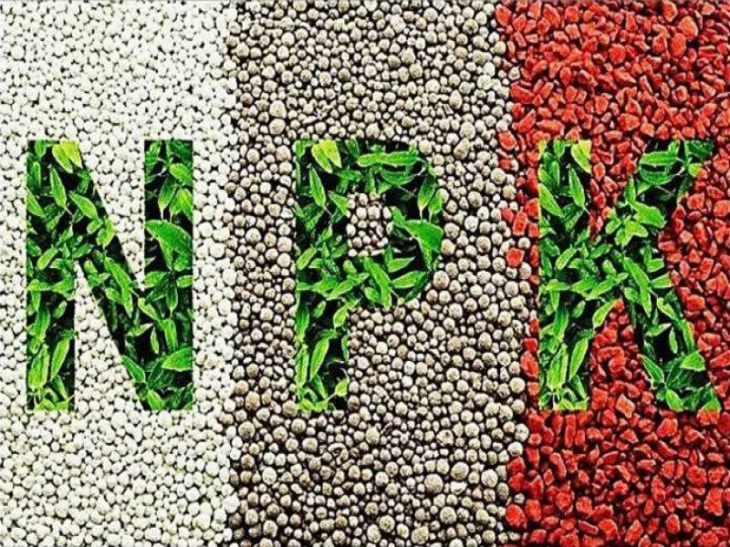 کود موازنه NPK باکیفیت صنایع کود مارال   0