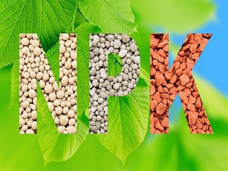 کود اسیدی NPK صنایع کود مارال0