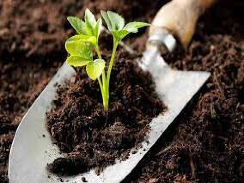 کود مخصوص فسفر بالا صنایع کود مارال 0