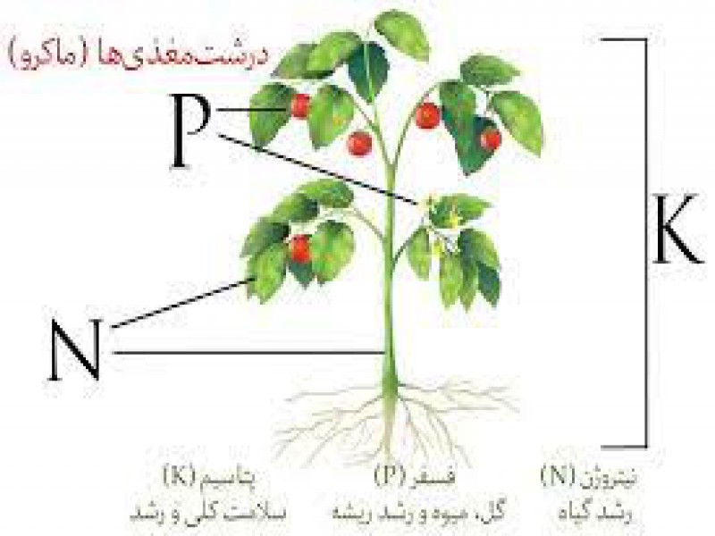 کود کامل NPK صنایع کود مارال 0