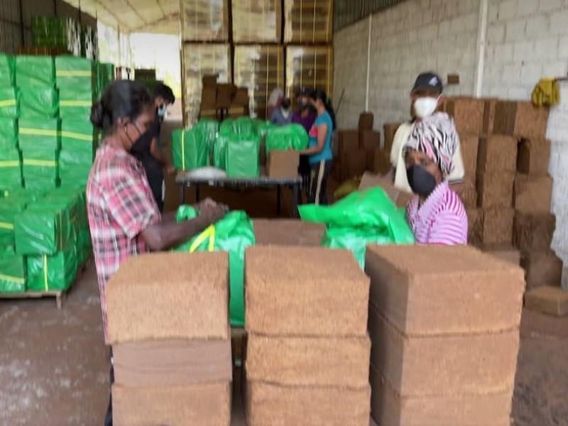 کوکوپیت وارداتی از سریلانکا صنایع کود مارال 1