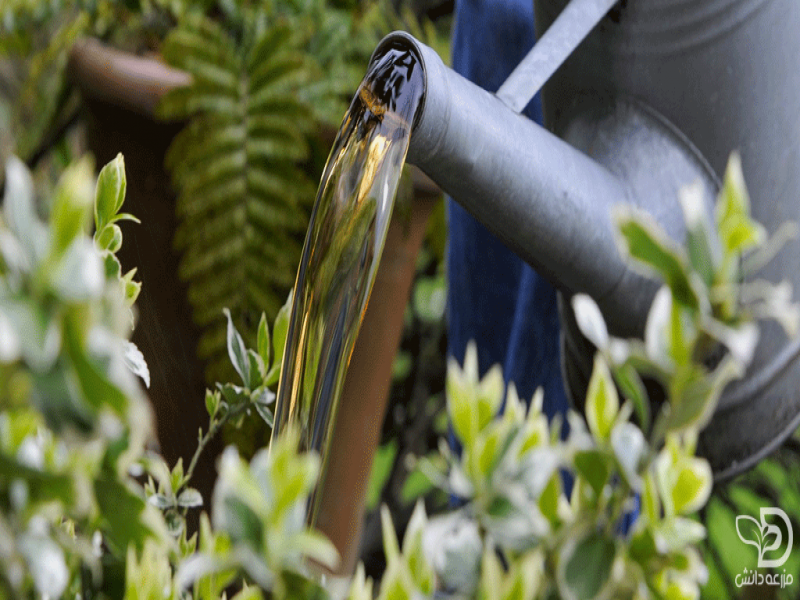 فروش کود مایع مرغی صنایع کود مارال0