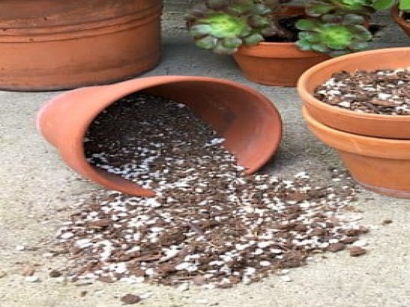 فروش خاک کاکتوس 1 لیتری صنایع کود مارال 0