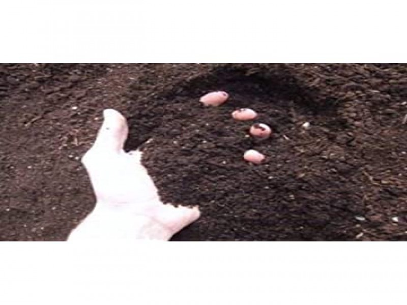 فروش مخلوط خاک و کود آماده کشت 4 لیتری صنایع کود مارال0