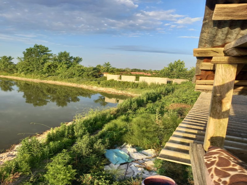 فروش زمین استخر ماهی 6000 متری در لاهیجان5