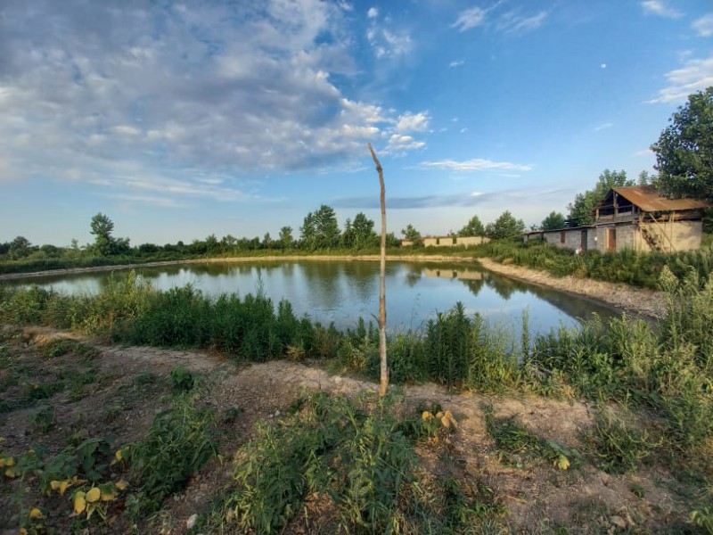 فروش زمین استخر ماهی 6000 متری در لاهیجان0